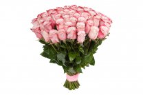       kievflora.com.ua
