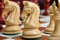 Какой элитный и эксклюзивный подарок сделать статусному человеку, который любит животных?