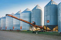 Элеватор – незаменимое оборудование для производителей зерновых