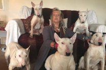 Женщина бросила мужа ради 30 бойцовских собак 