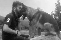 Прославленного итальянского пса-спасателя убили