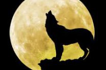 Лунные часы – по ним могут жить люди и животные, на Земле и космосе