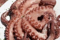 � ������� ������� �������� ��������� � ������� ����������