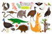 113 видов животных нуждаются в экстренной помощи после лесных пожаров в Австралии
