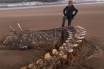 На берег Великобритании вынесло гигантский скелет неизвестного существа