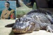 84-летний «аллигатор Гитлера» скончался в зоопарке Москвы