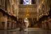 Лондонский собор провёл отпевание бездомной кошки