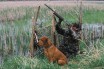 ЕС запретил свинцовую дробь при охоте на заболоченных территориях с 2021 года 