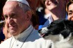Папа Римский упрекнул в «определенном эгоизме» людей, которые заводят животных вместо детей