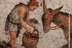 Древние «военные ослы», вероятно, были первыми гибридными животными, выведенными людьми
