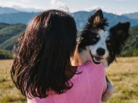 Как удалить клеща у собаки: советы и предостережения