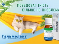 Гальмолакт — препарат для прекращения лактации у котов и собак