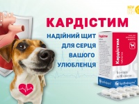 Кардистим — новый кардиостимулятор для собак