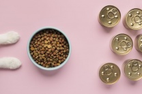 �� ��������� ������� ���� ��� ����