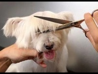 ��� ������� ������� ��� ��������: ������ ��� ��������