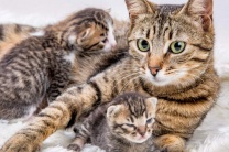 7 ������, ����� �� ���� ���� 璿��� ���� �������