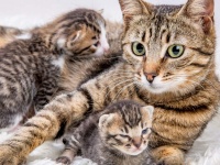 7 ������, ����� �� ���� ���� 璿��� ���� �������