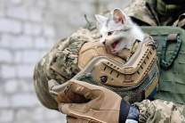 ������� ������� �� ��� ��������� � ������, �� ���������� ��������� �� ���������� �������