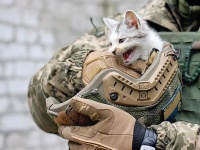 ������� ������� �� ��� ��������� � ������, �� ���������� ��������� �� ���������� �������