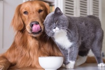 �������� � ���������� ���� ����� �������� ��� ������