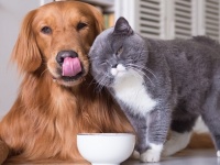 �������� � ���������� ���� ����� �������� ��� ������