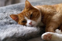 �������� ������ � ����, �� �� ����� ����������