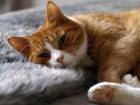 �������� ������ � ����, �� �� ����� ����������