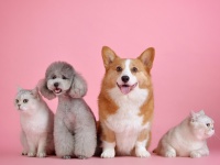 �� ������ �������� ������ ��� �������� ����������: ������ ��� ����������� ��������