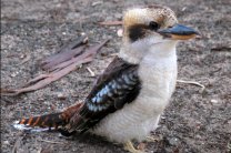 ������������� �������� �������� �� �����