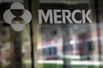   Merck&Co.   51%