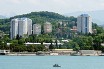 В преддверии зимней Олимпиады в Сочи экологи переселяют животных