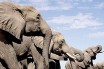 Стадо разгневанных диких слонов разрушило небольшую деревню в Индии