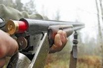 Женщина убила лося и пенсионера одним выстрелом