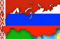 Государства-участники Таможенного союза введут единый ветеринарный сертификат