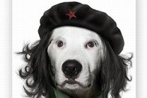 На английскую фирму подали в суд за пса в образе Че Гевары